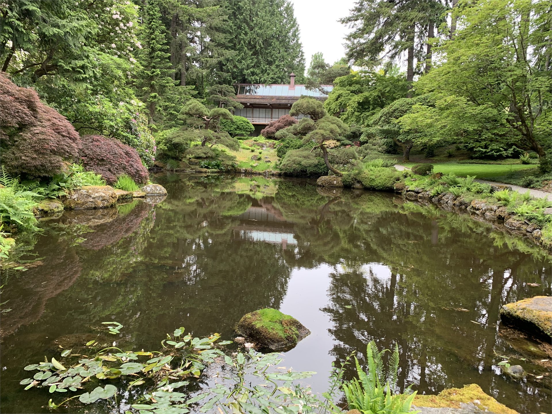 池、刈り込まれた樹木、ジャパニーズ・ゲストハウスから成るブローデル・リザーブの日本庭園