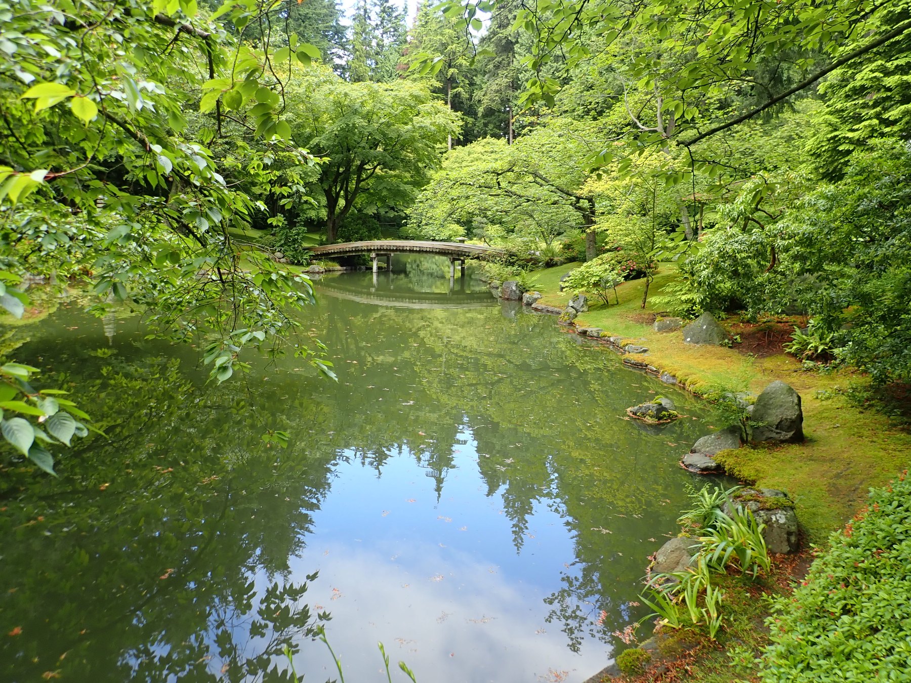溫哥華 UBC 新渡戶稻造紀念庭園中的橋、水面與樹影