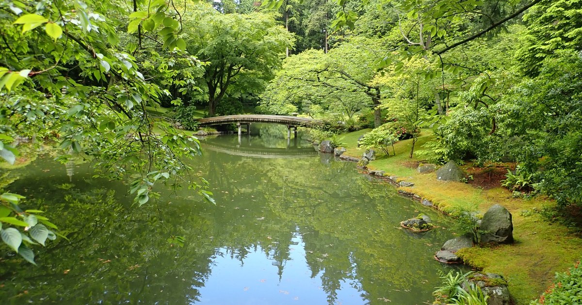 Pond, bridge, and mature trees at Nitobe Memorial Garden