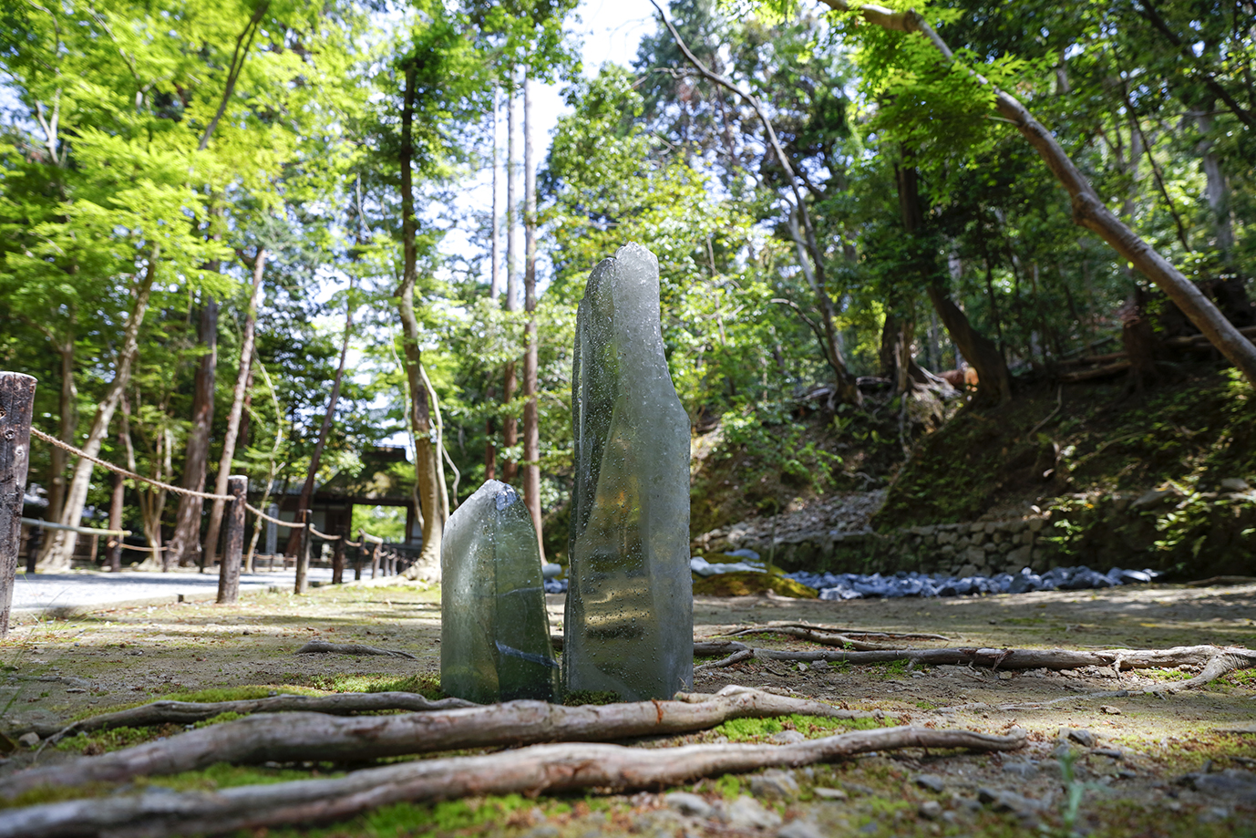 Two upright glass forms along the approach to Honen-in, surrounded by trees, moss, and exposed roots